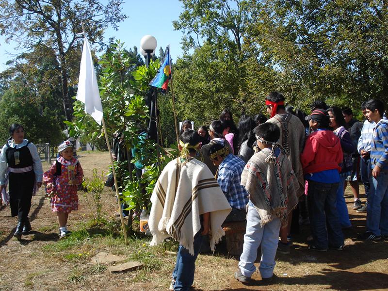 Escuela Mapuche