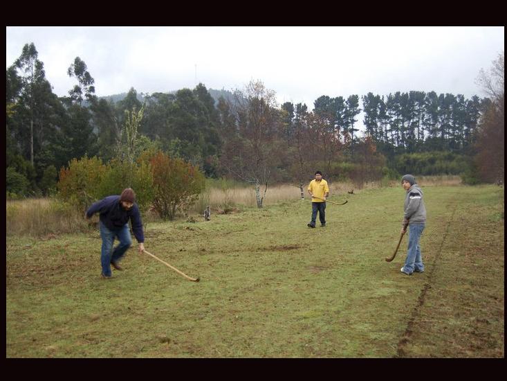 Taller educativo de palin, Museo Mapuche de Cañete