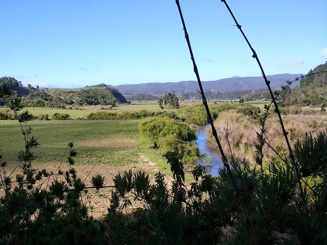 Río Peleco-Paicaví