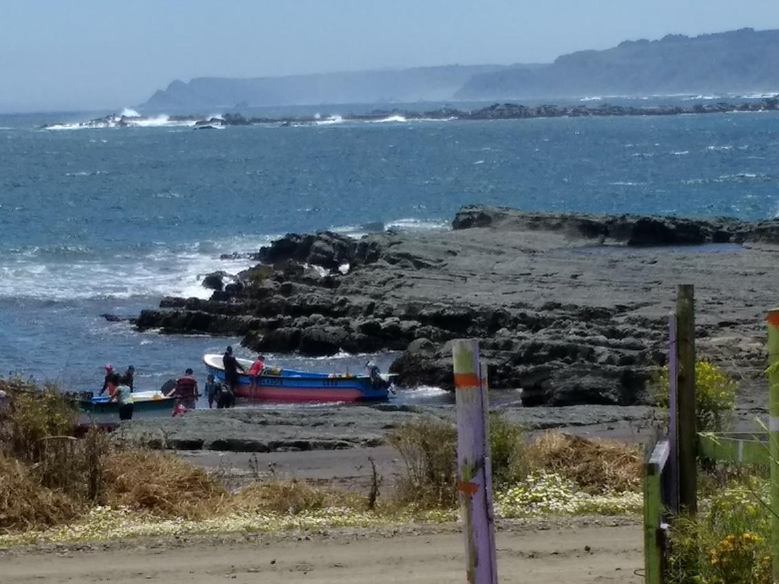 Pesca actual en caleta Punta Morhuilla