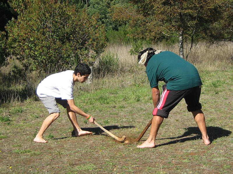 Taller educativo de palin, Museo Mapuche de Cañete