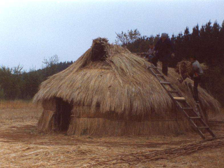 Forrado del techo