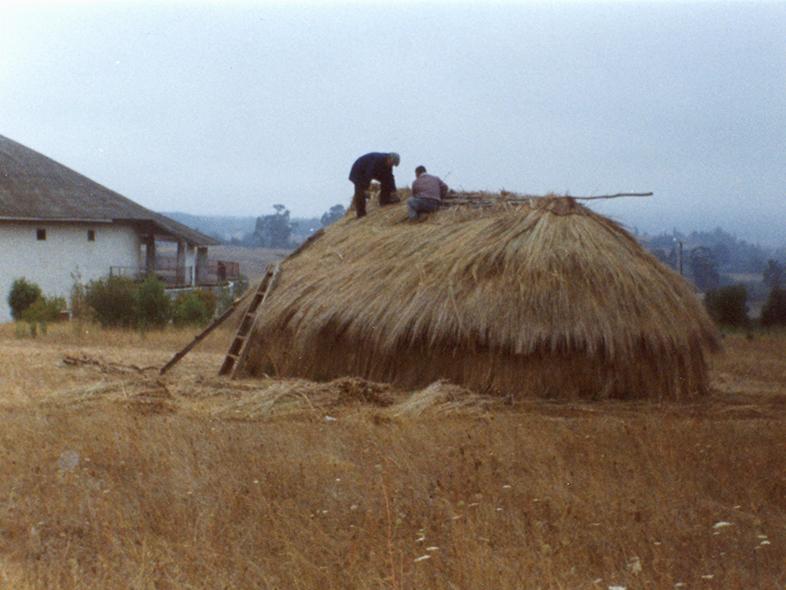 Forrado del techo