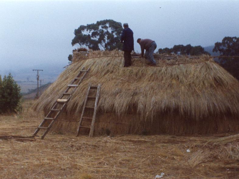 Forrado del techo