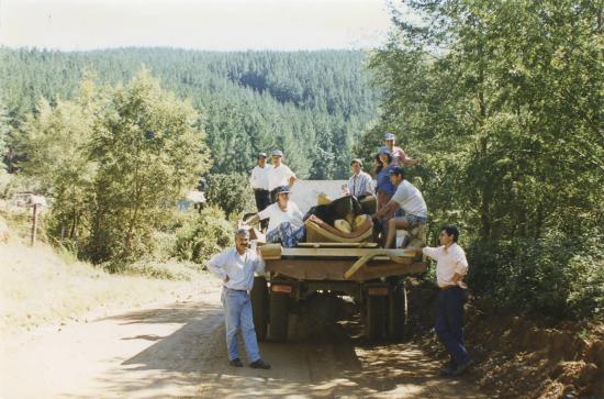 Equipo a cargo del traslado del wampo