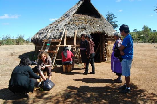 Jornada Taller de telar mapuche