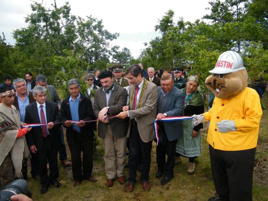 El Director de DIBAM Ángel Cabeza realiza el tradicional corte de cinta en la inauguración del Parque Urbano Juan Cayupi Huechicura, Cañete.