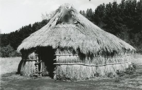 Ruka en el parque del Museo Mapuche de Cañete, s/f. Archivo Fotográfico Museo Mapuche de Cañete.