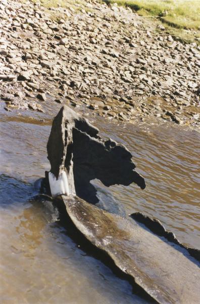 Detalle de la proa del wampo Detalle de la proa del wampo