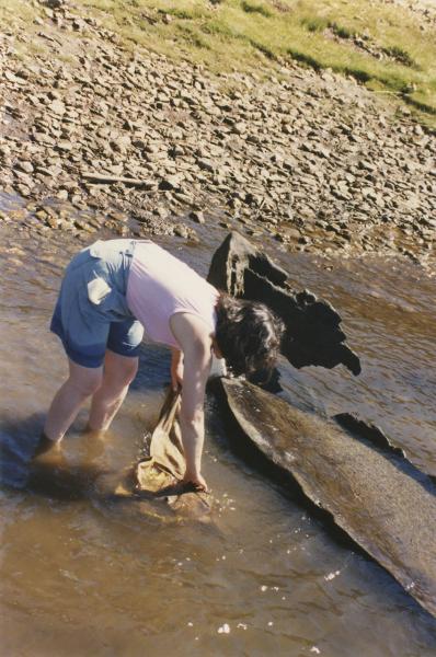 Conservación de humedad a través de telas mojadas Conservación de humedad a través de telas mojadas
